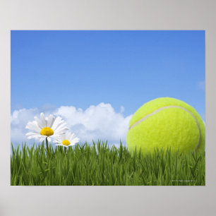 Tennis Balls Poster