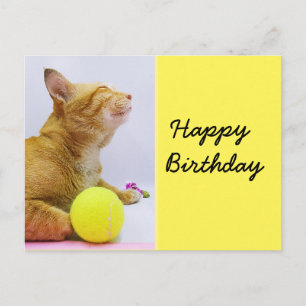 Tennis birthday card with ginger cat and ball
