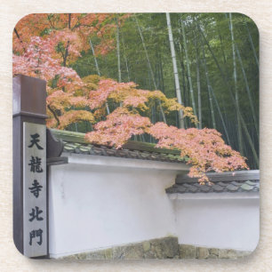 Tenryuji Temple North Gate Coaster