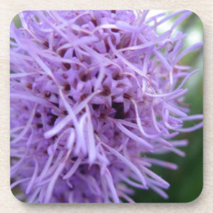 Tentacle Spider Violet Flower Coaster