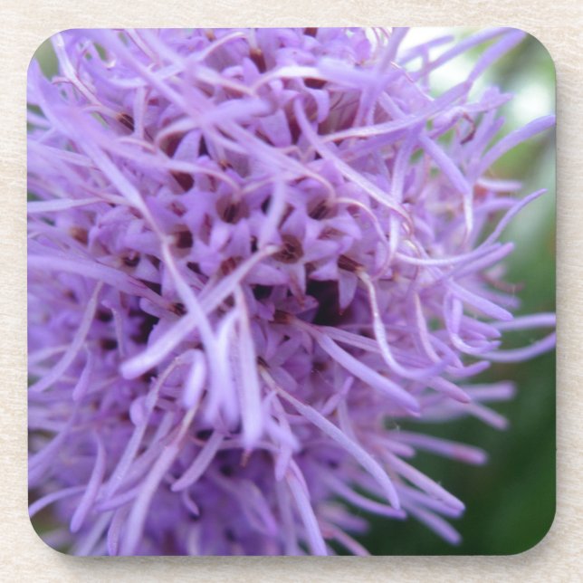 Tentacle Spider Violet Flower Coaster (Front)