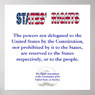 Tenth Amendment Poster