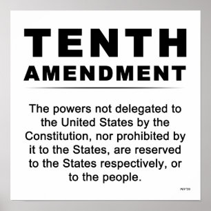 Tenth Amendment Poster