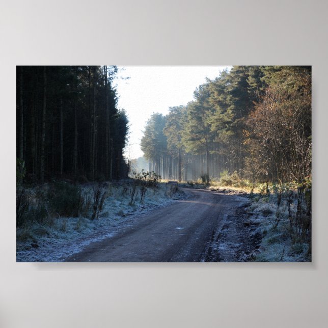 Tentsmuir Forest Poster (Front)