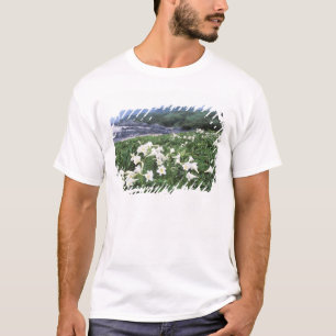 Teppo Yuri (Lily), Yakushima, Kagoshima, Japan T-Shirt