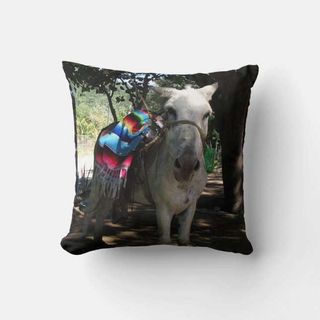 Tequila Donkey Cushion (Front)