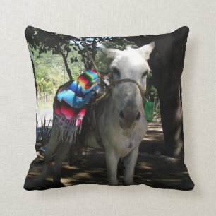Tequila Donkey Cushion