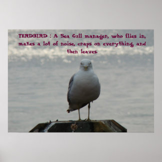TERDBIRD : A Sea Gull manager, who fl... Poster