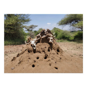 Termite Hill in Tanzania Poster
