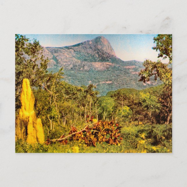 Termite mound, Sierra da Hanba, Angola Postcard (Front)