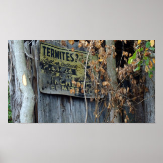 Termites? Poster