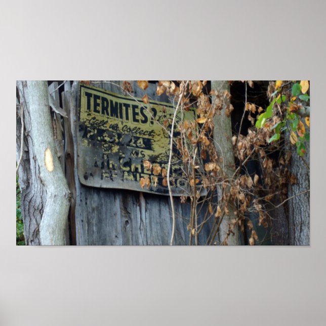 Termites? Poster (Front)