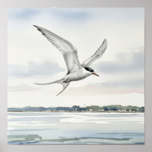 Tern Flying Over the Bay Poster