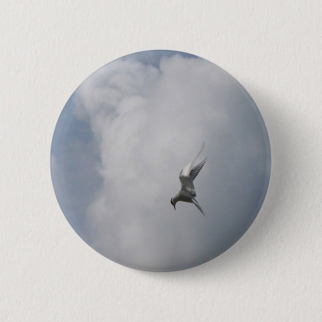 Tern in the Sky button (Front)