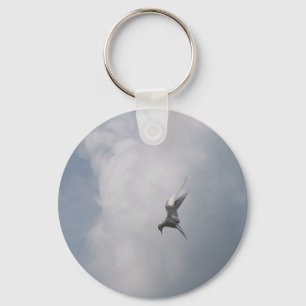 Tern in the Sky key chain