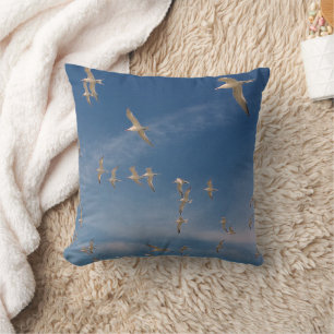 Terns Overhead Cushion