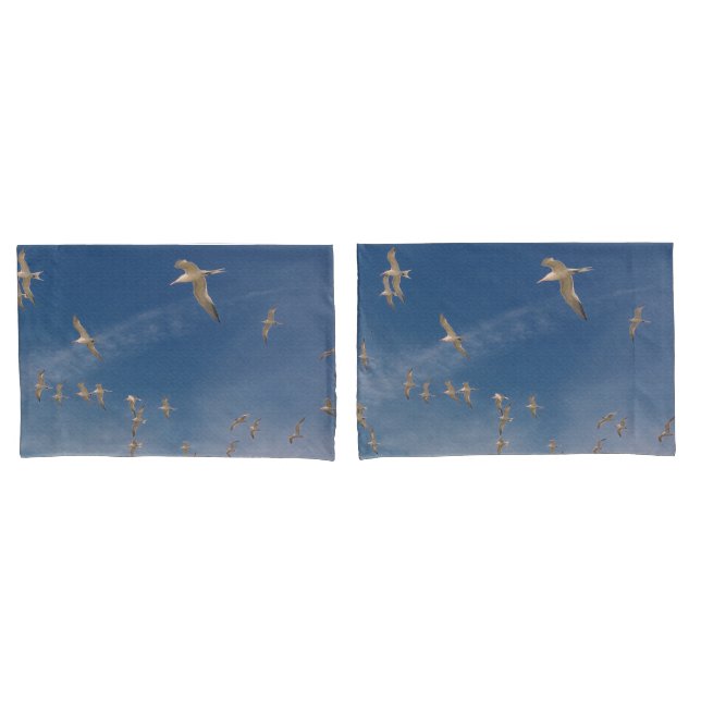 Terns Overhead Pillowcase (Front-Set)