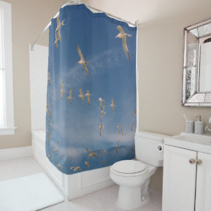 Terns Overhead Shower Curtain