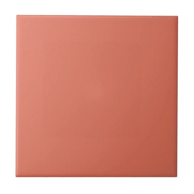 Terra Cotta Ceramic Tile (Front)