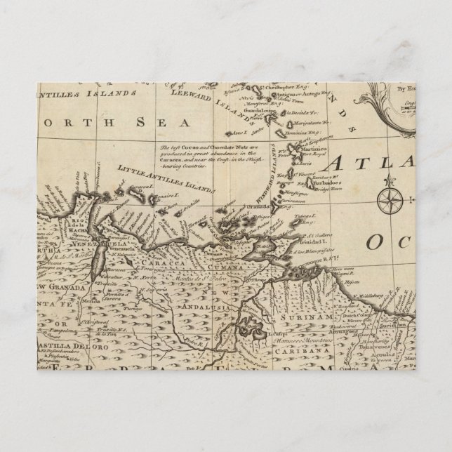 Terra Firma, Caribbean Postcard (Front)