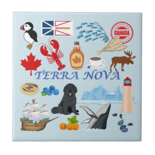 Terra Nova Newfoundland Ceramic Tile