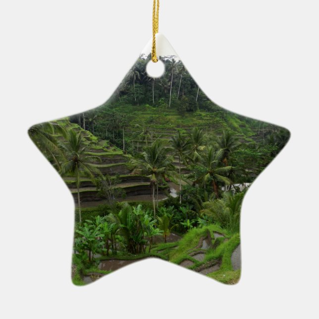 Terraced Rice Fields Ceramic Tree Decoration (Front)