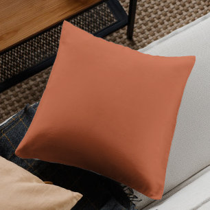 Terracotta Orange Solid Colour Warm & Earthy Desig Cushion