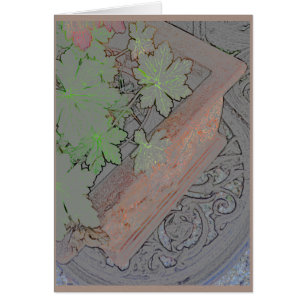 Terracotta planter on wrought iron table