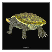 Terrapin (black) - Photo Print