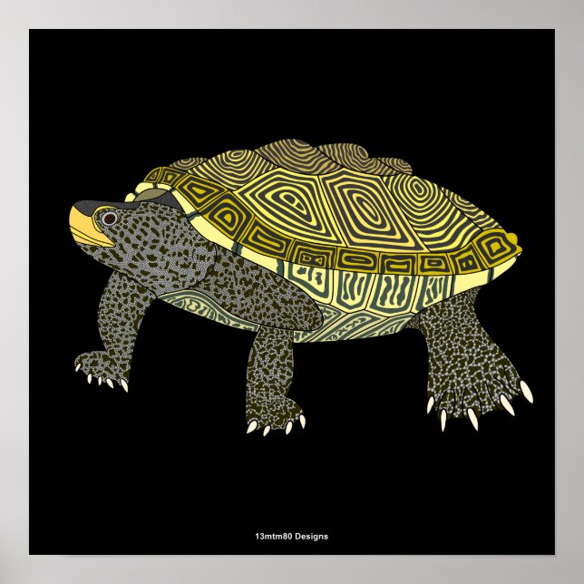 Terrapin (black) - Poster Print (Front)
