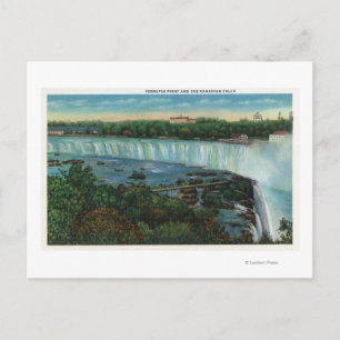 Terrapin Point View of Canadian Falls Postcard