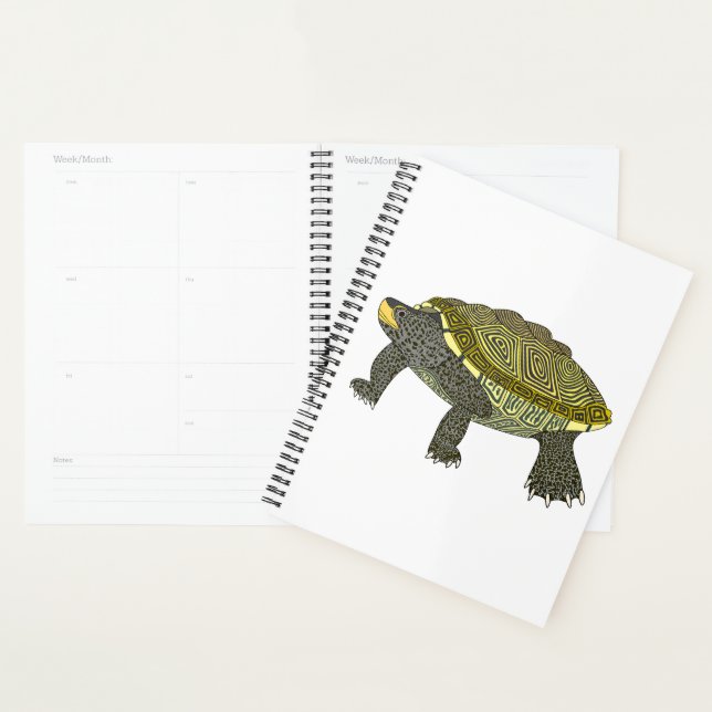 Terrapin (white) - Planner (Display)