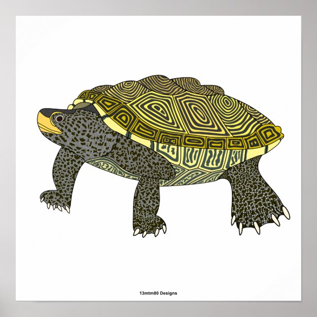 Terrapin (white) - Poster Print (Front)