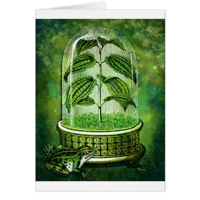 TERRARIUM.jpg (Front)