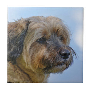 Terrier Design Ceramic Tile