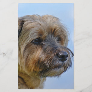 Terrier Design Stationery