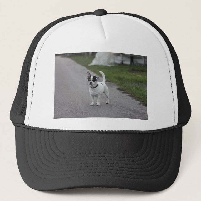 Terrier Dog looking Cute! Trucker Hat (Front)