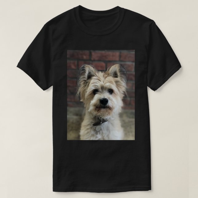 Terrier Dog Photo Personalise Cotton T-Shirt (Design Front)