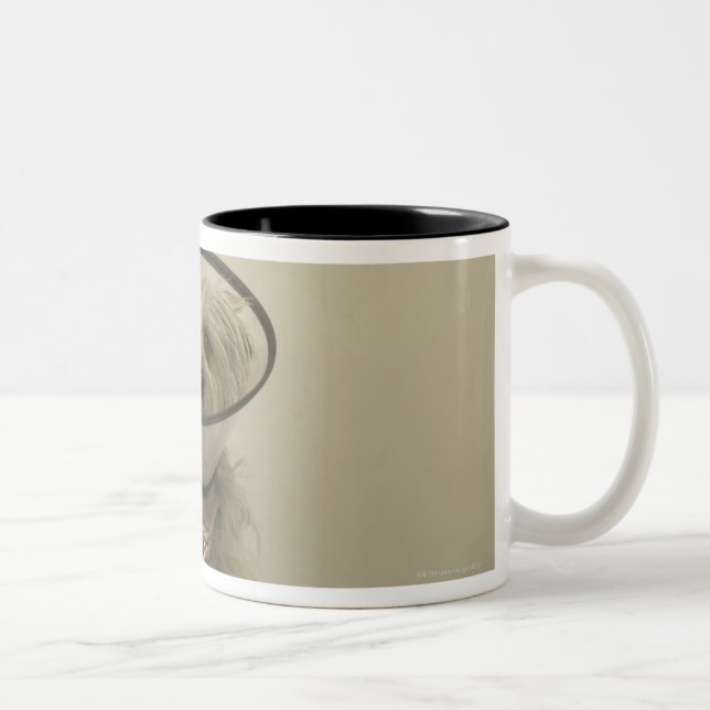 Terrier dog wearing protective collar Two-Tone coffee mug (Right)