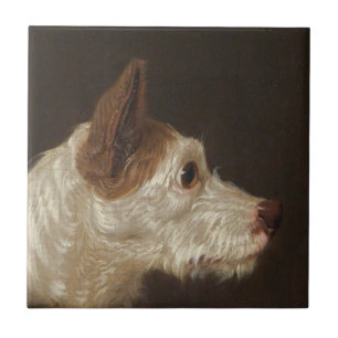 Terrier Dog's Head (by James Ward) Ceramic Tile