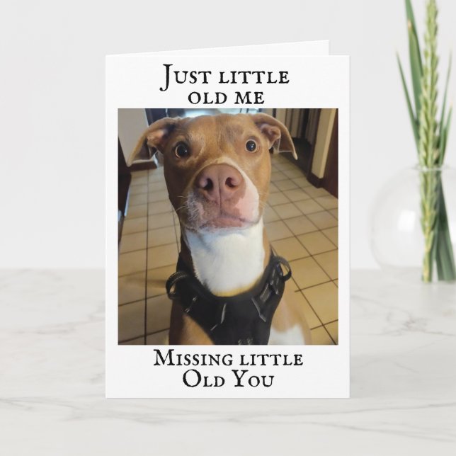 **TERRIER MISSES YOU ON YOUR BIRTHDAY** CARD (Front)