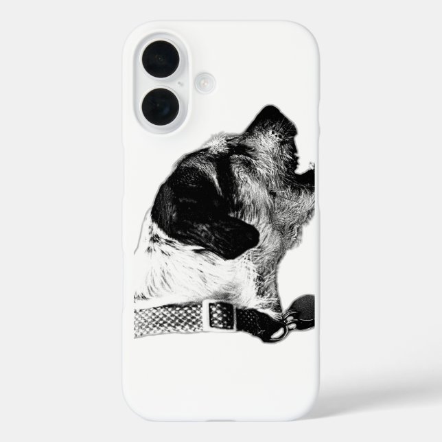 Terrier Mix Energy Burst iPhone Case (Back)