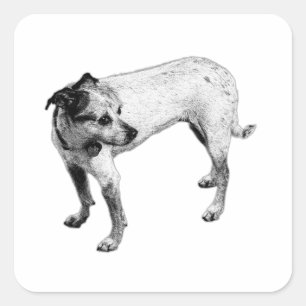 Terrier Mix Full‑Body Monochrome Sticker