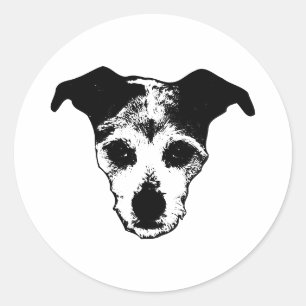 Terrier Mix Looking Up Portrait Sticker