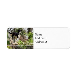 Terrier Standing Guard Return Address Label