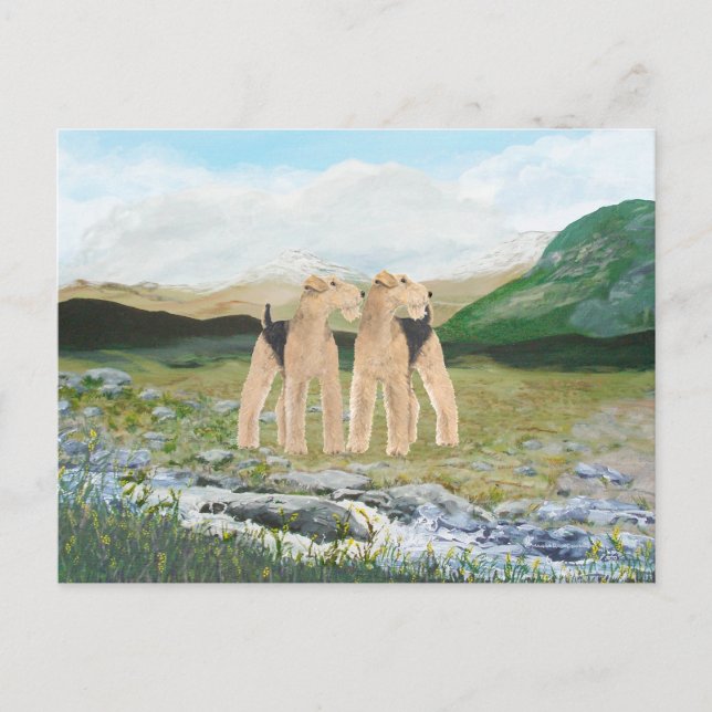 Terriers in Ireland Postcard (Front)