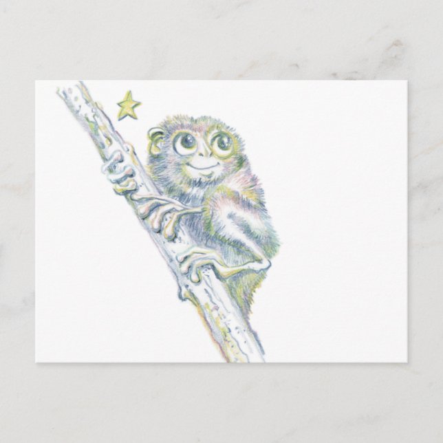 Terrific Tarsier Postcard (Front)