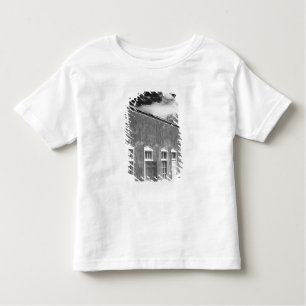 Territorial style architecture, Santa Fe, New Toddler T-Shirt
