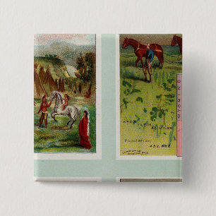 Territory of Arizona, Nebraska, Nevada, Arkansas 15 Cm Square Badge