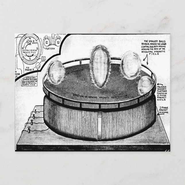 Tesla's Egg  At the Columbia Exposition Postcard  (Front)